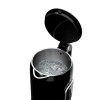 HERVIDORA BRITANIA 1.7L NEGRO
